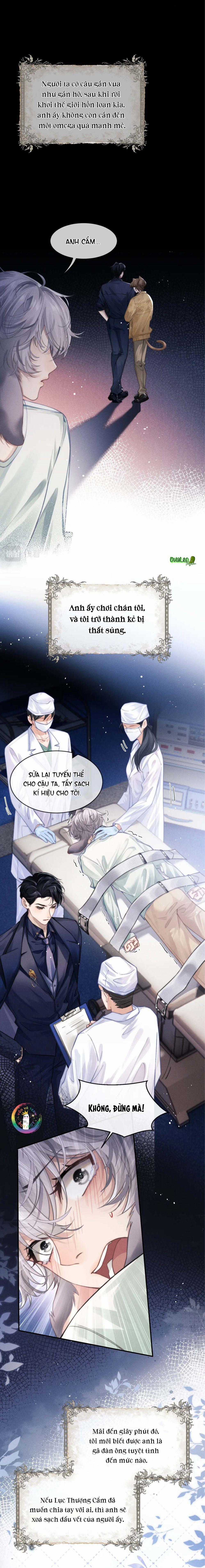 Chấp Sự Thỏ Tai Cụp Chapter 2 trang 3