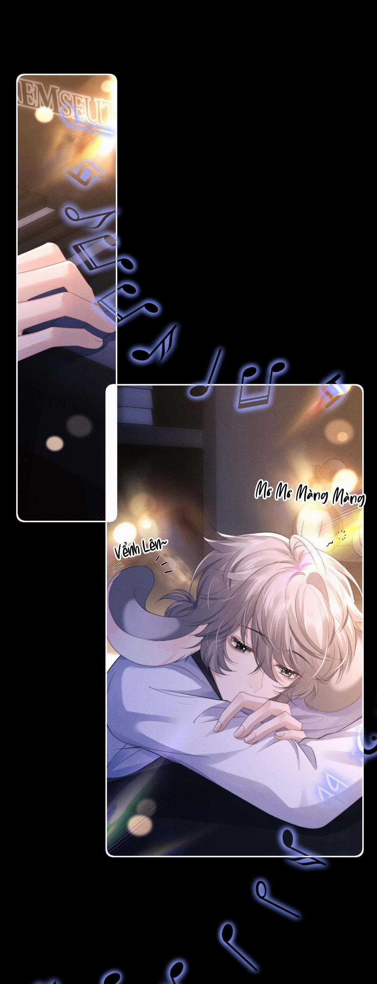 Chấp Sự Thỏ Tai Cụp Chapter 46 trang 1
