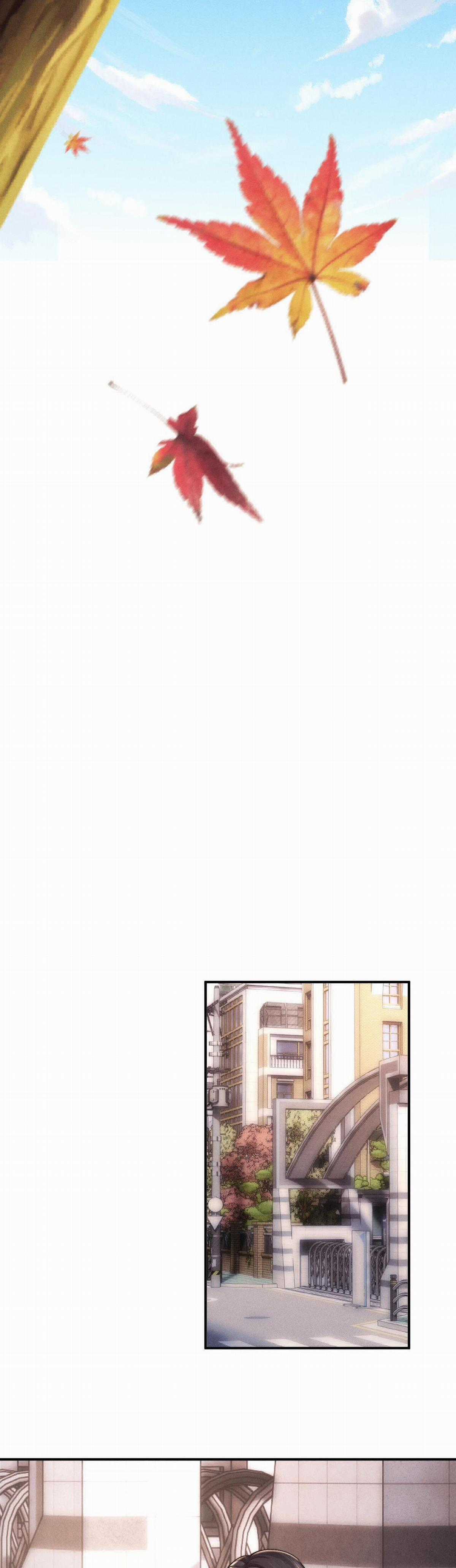 Chấp Sự Thỏ Tai Cụp Chapter 82 trang 4