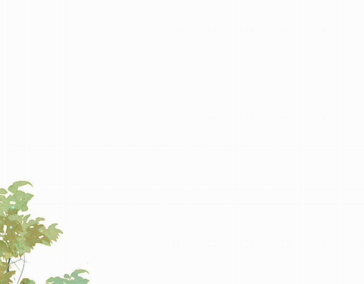 Chấp Sự Thỏ Tai Cụp Chapter 83 trang 2