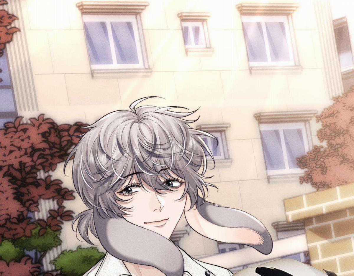 Chấp Sự Thỏ Tai Cụp Chapter 83 trang 43