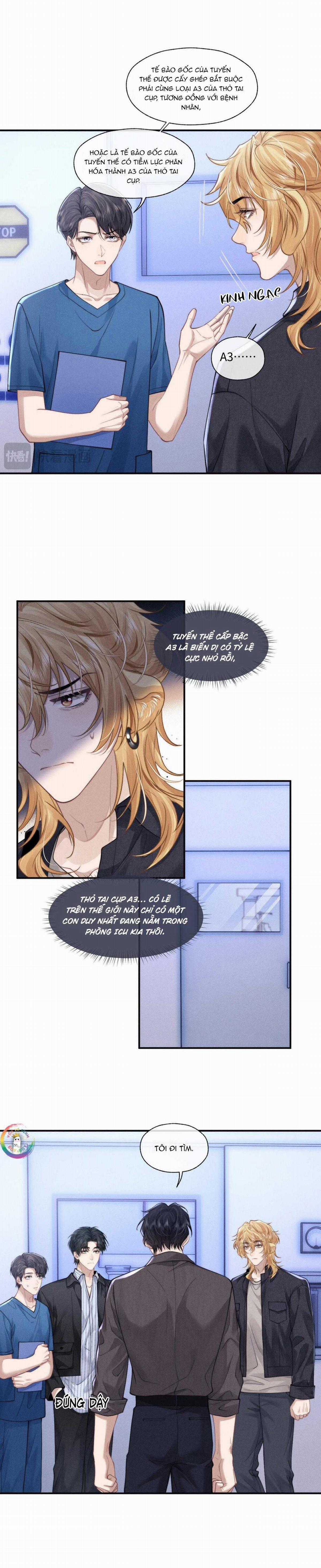 Chấp Sự Thỏ Tai Cụp Chapter 97 trang 6