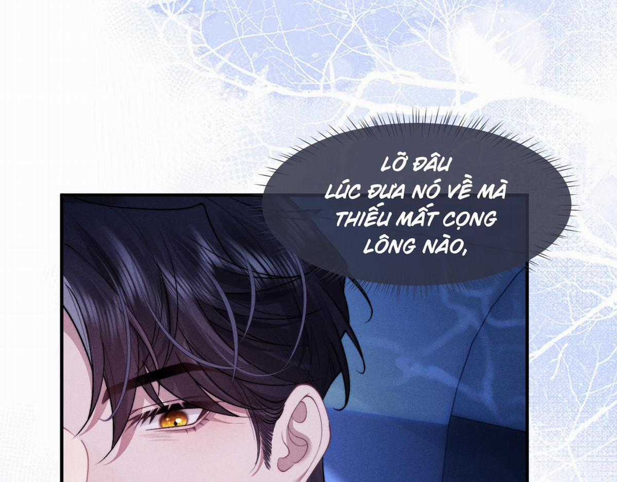 Chấp Sự Thỏ Tai Cụp Chapter 98 trang 77