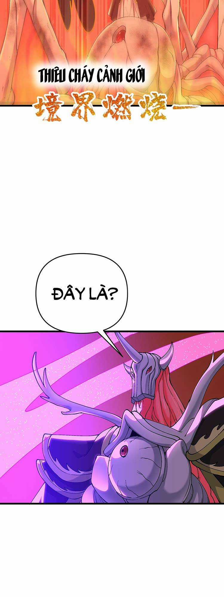 Chặt Củi 10 Năm, Tiên Tử Cầu Xin Ta Thu Nàng Làm Đồ Đệ Chapter 14 trang 28