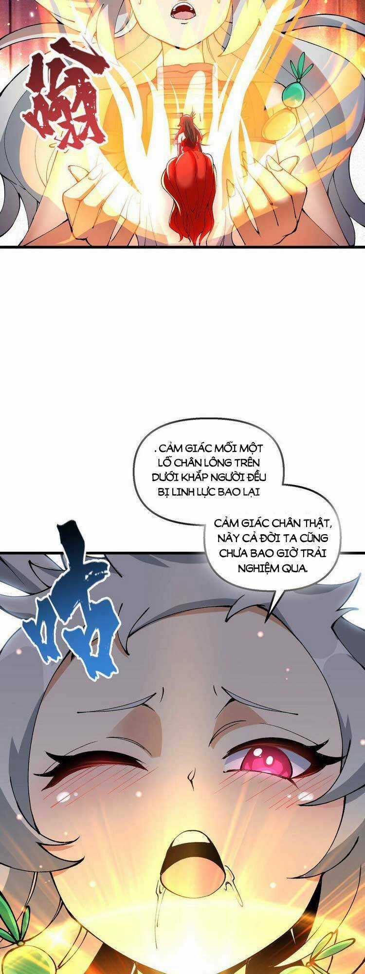 Chặt Củi 10 Năm, Tiên Tử Cầu Xin Ta Thu Nàng Làm Đồ Đệ Chapter 23 trang 6