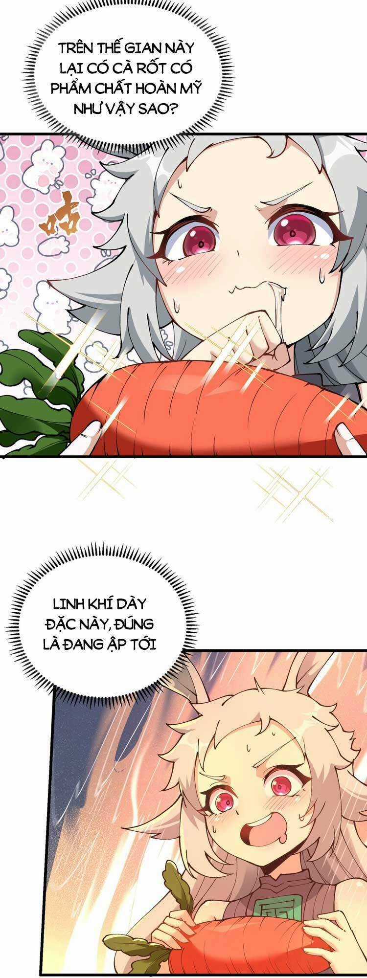 Chặt Củi 10 Năm, Tiên Tử Cầu Xin Ta Thu Nàng Làm Đồ Đệ Chapter 25 trang 37