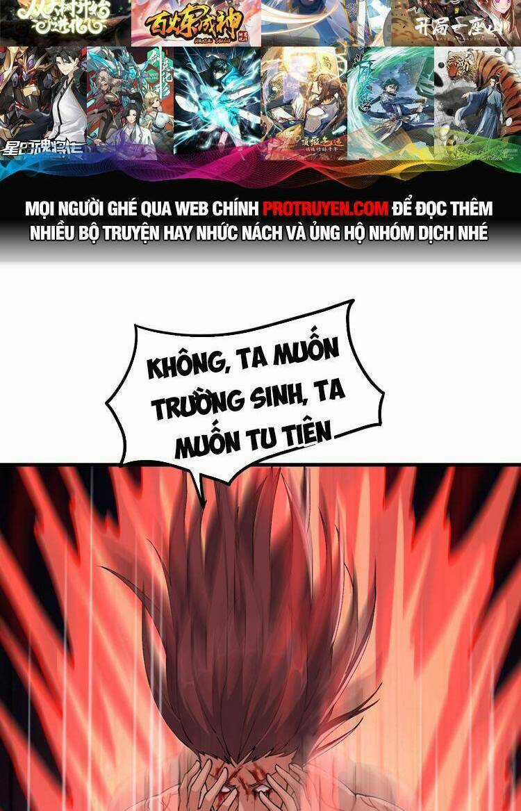 Chặt Củi 10 Năm, Tiên Tử Cầu Xin Ta Thu Nàng Làm Đồ Đệ Chapter 32 trang 19