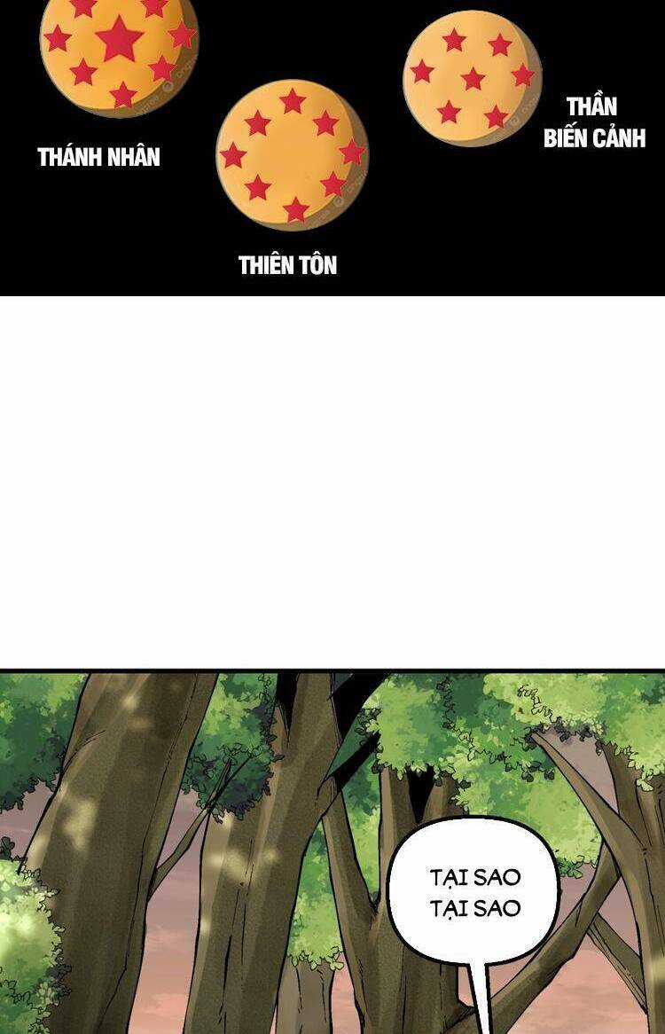 Chặt Củi 10 Năm, Tiên Tử Cầu Xin Ta Thu Nàng Làm Đồ Đệ Chapter 32 trang 38