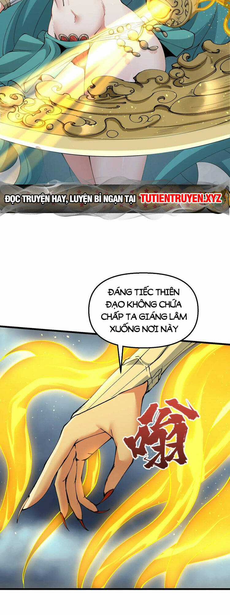 Chặt Củi 10 Năm, Tiên Tử Cầu Xin Ta Thu Nàng Làm Đồ Đệ Chapter 35 trang 11