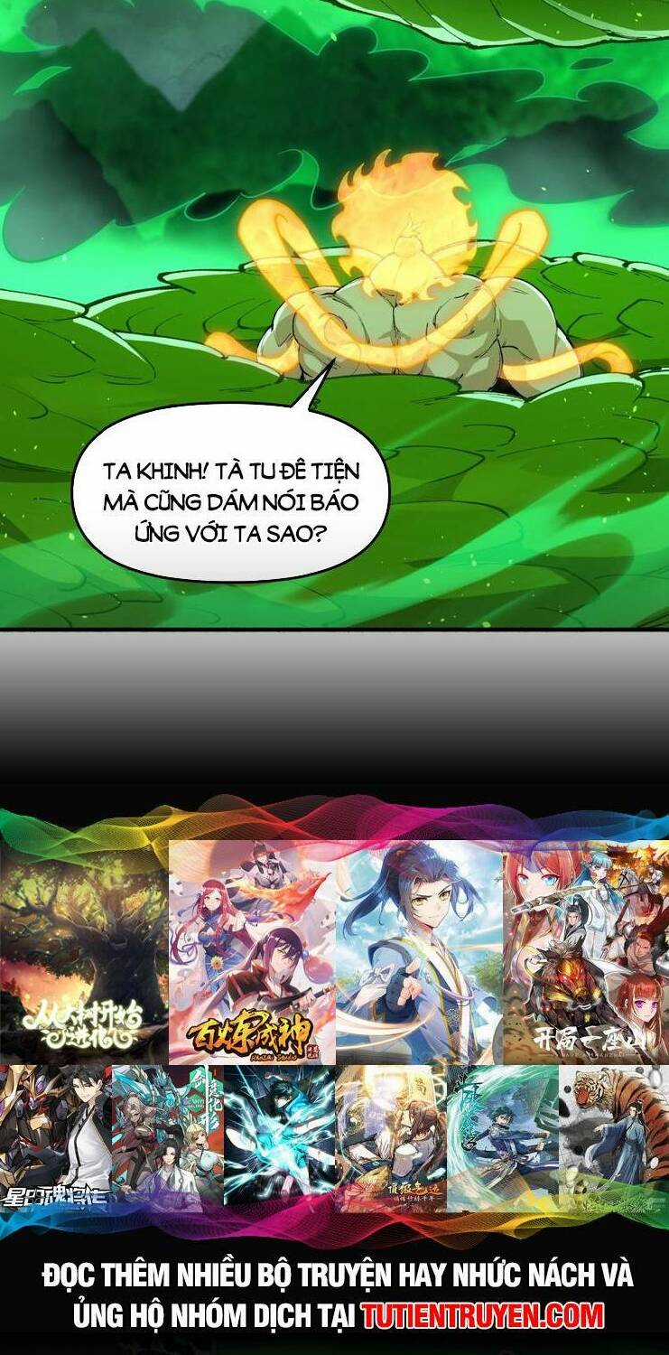 Chặt Củi 10 Năm, Tiên Tử Cầu Xin Ta Thu Nàng Làm Đồ Đệ Chapter 47 trang 19