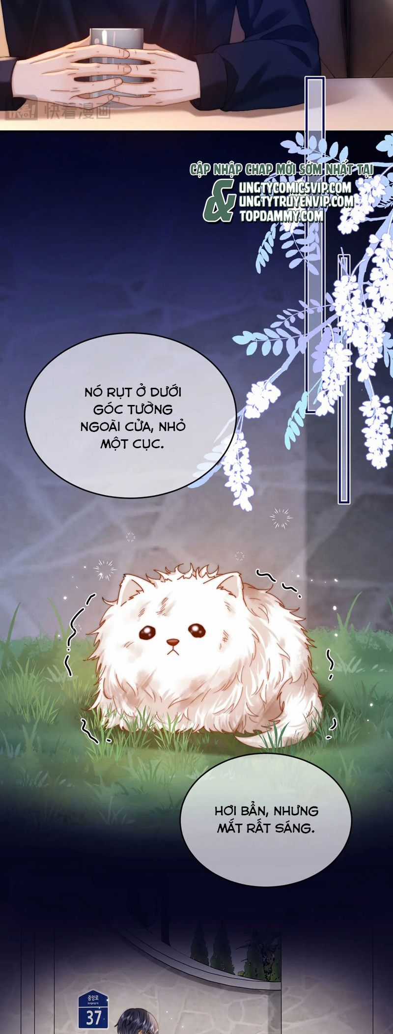 Chất Dị Ứng Đáng Yêu Chapter 52 trang 3