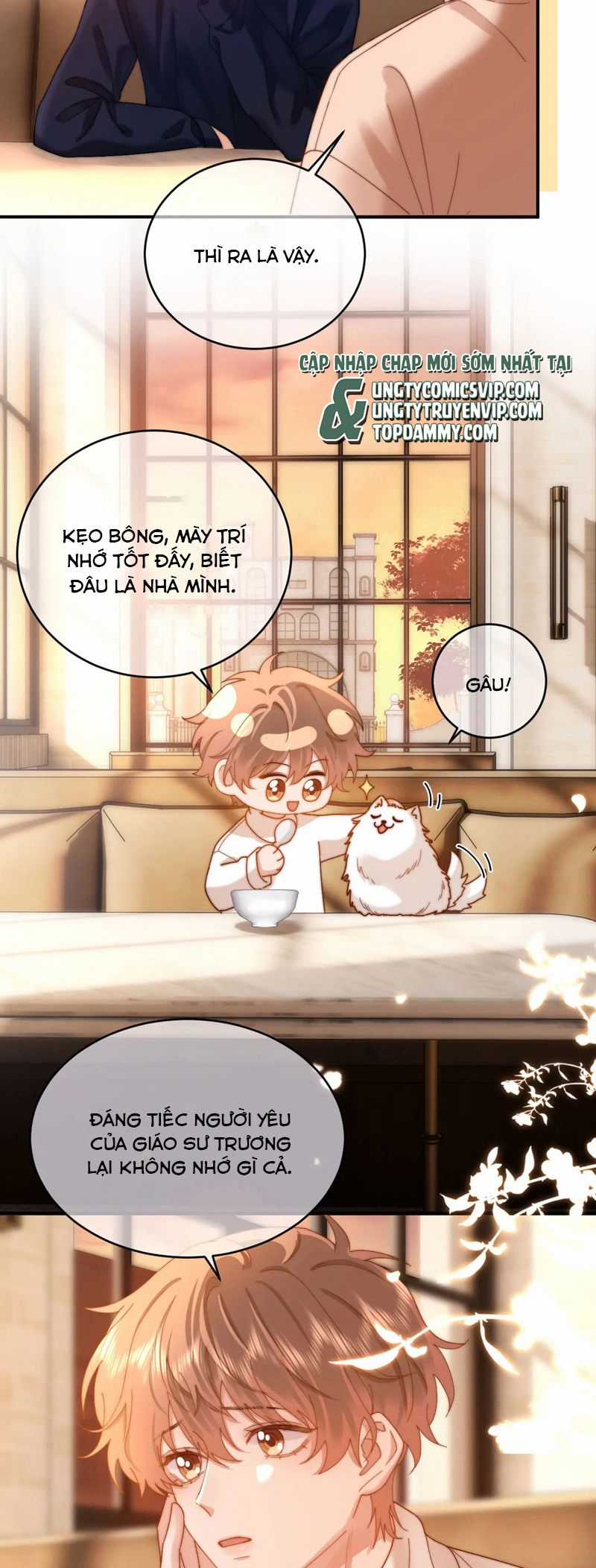 Chất Dị Ứng Đáng Yêu Chapter 52 trang 7