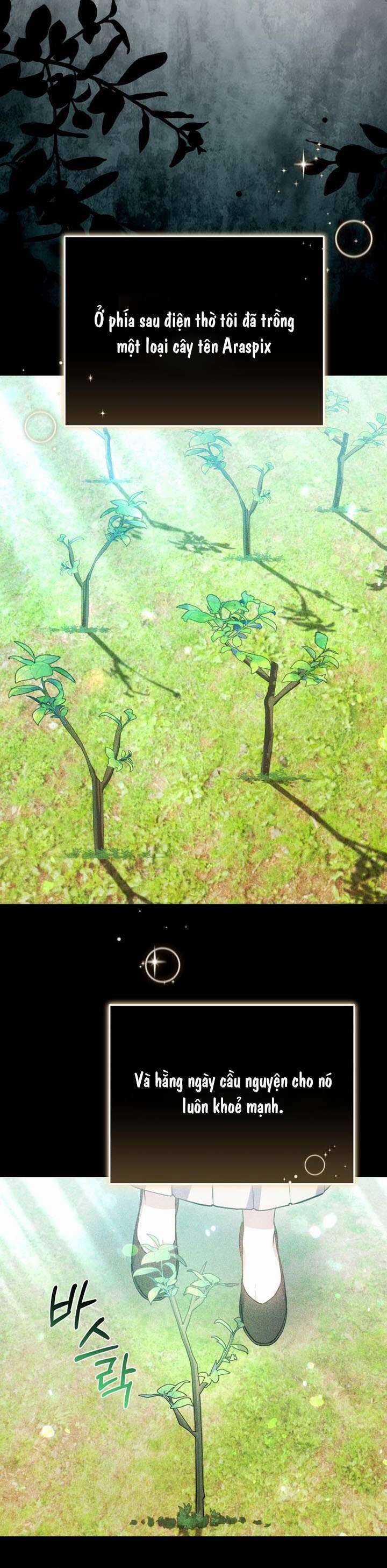 Cháu Trai Của Nam Chính Rất Thích Tôi Chapter 93 trang 2