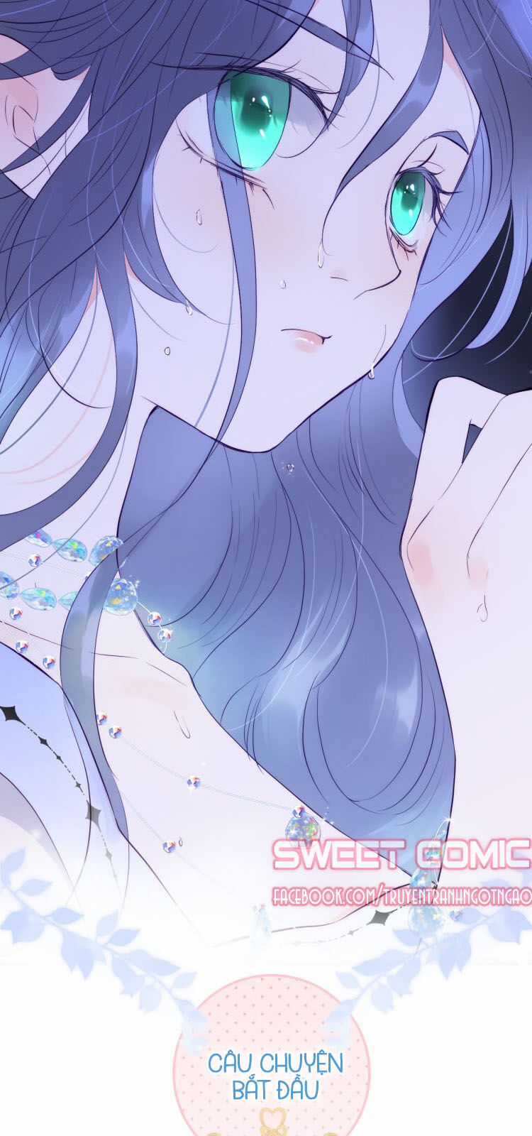 Chạy Trốn Cùng Con Nhím Chapter 1 trang 11