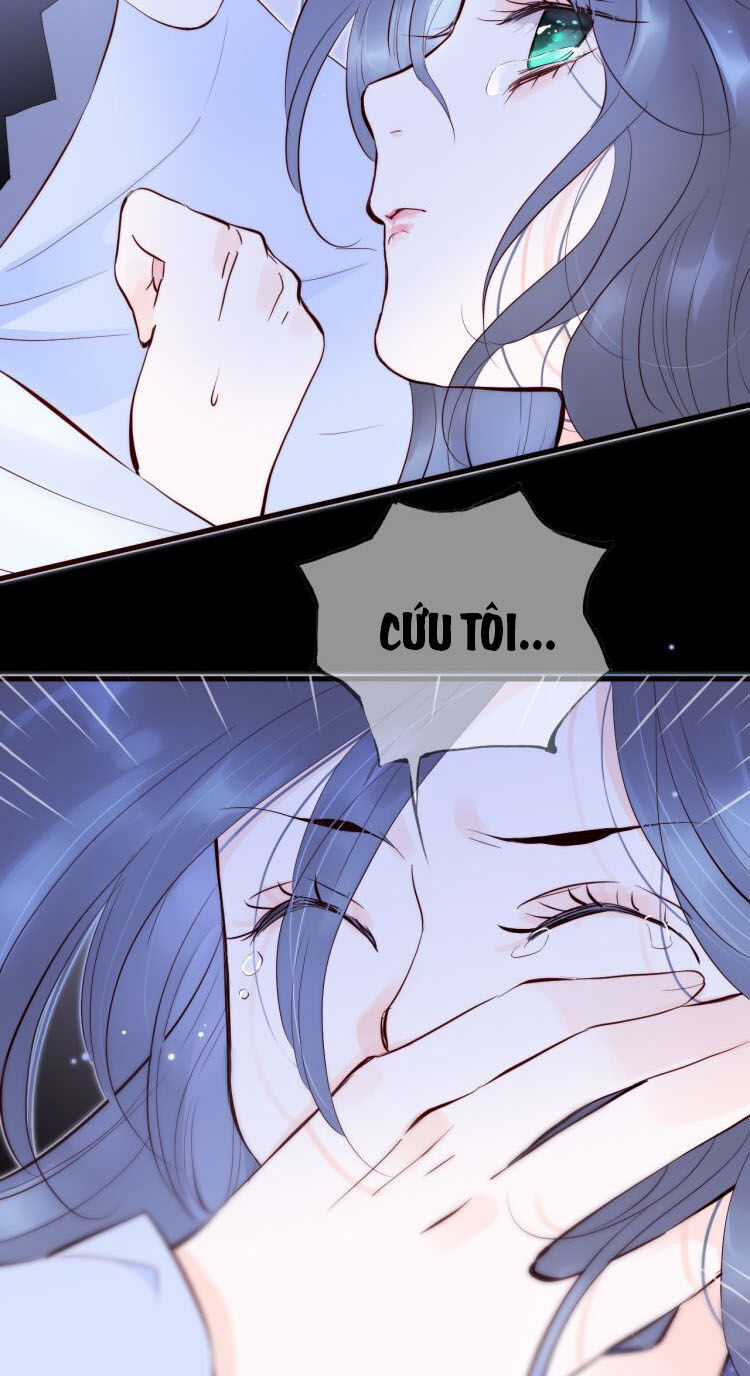 Chạy Trốn Cùng Con Nhím Chapter 1 trang 43