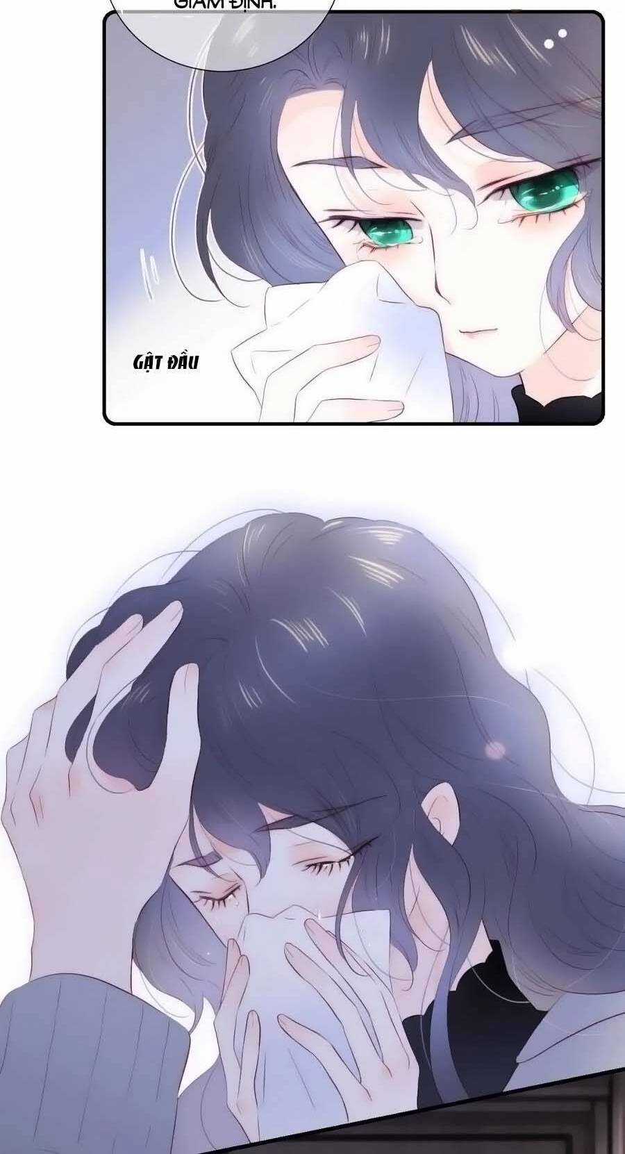 Chạy Trốn Cùng Con Nhím Chapter 101 trang 13