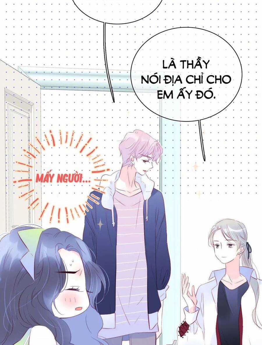 Chạy Trốn Cùng Con Nhím Chapter 27 trang 15