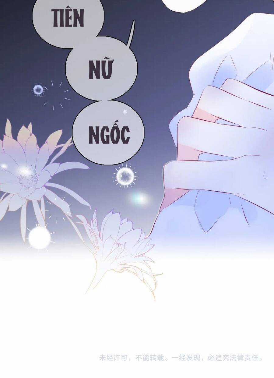 Chạy Trốn Cùng Con Nhím Chapter 27 trang 46