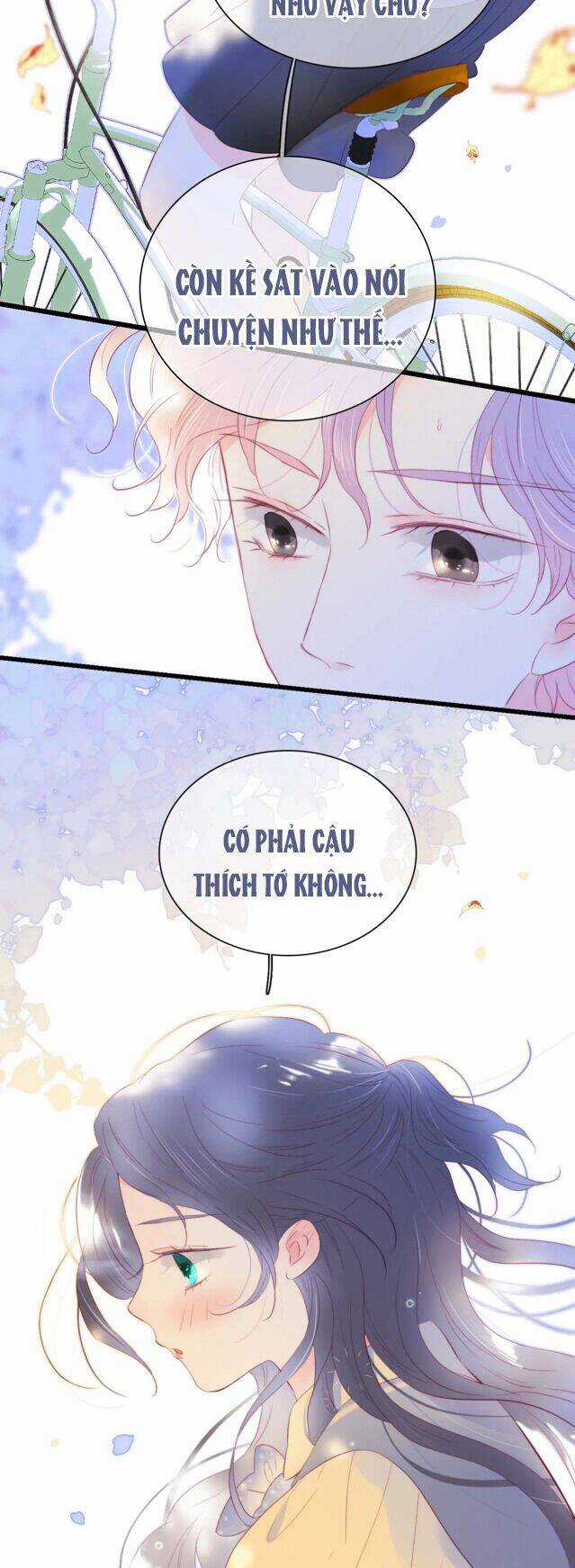 Chạy Trốn Cùng Con Nhím Chapter 31 trang 14