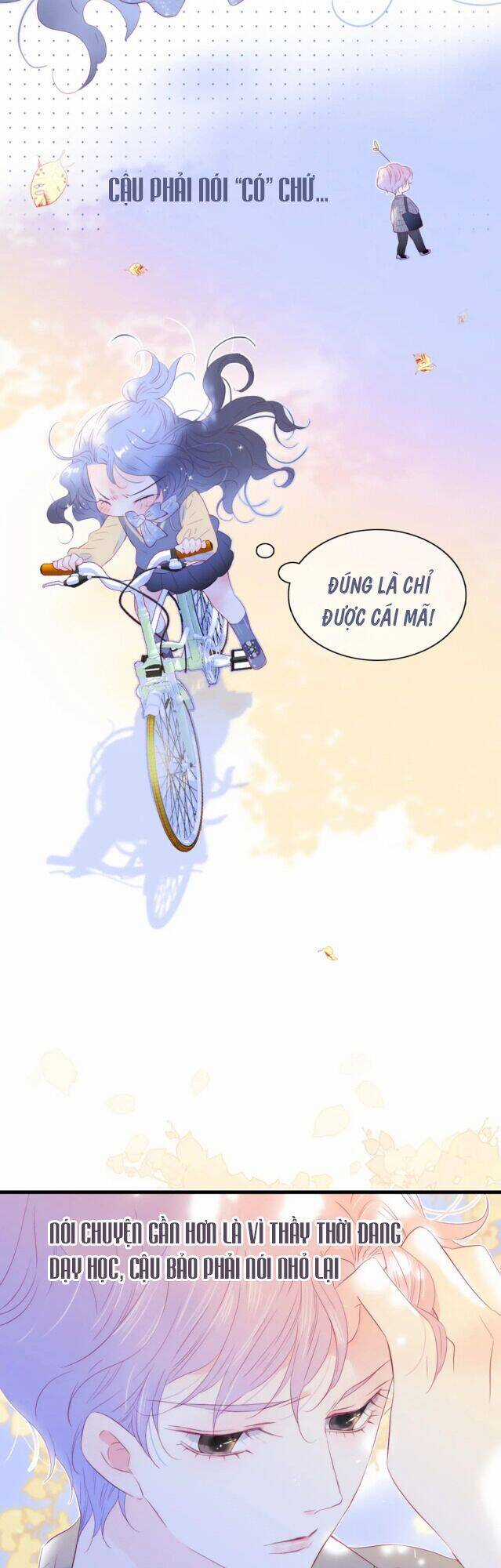 Chạy Trốn Cùng Con Nhím Chapter 31 trang 17