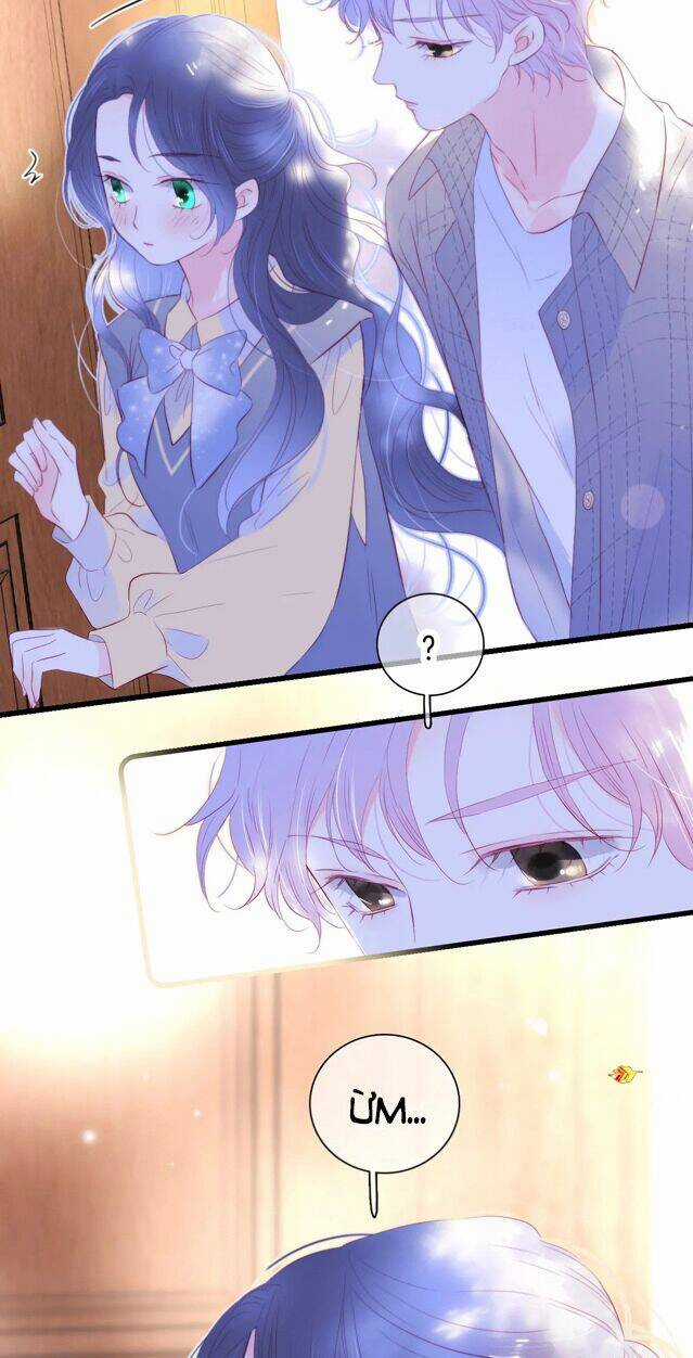 Chạy Trốn Cùng Con Nhím Chapter 31 trang 4