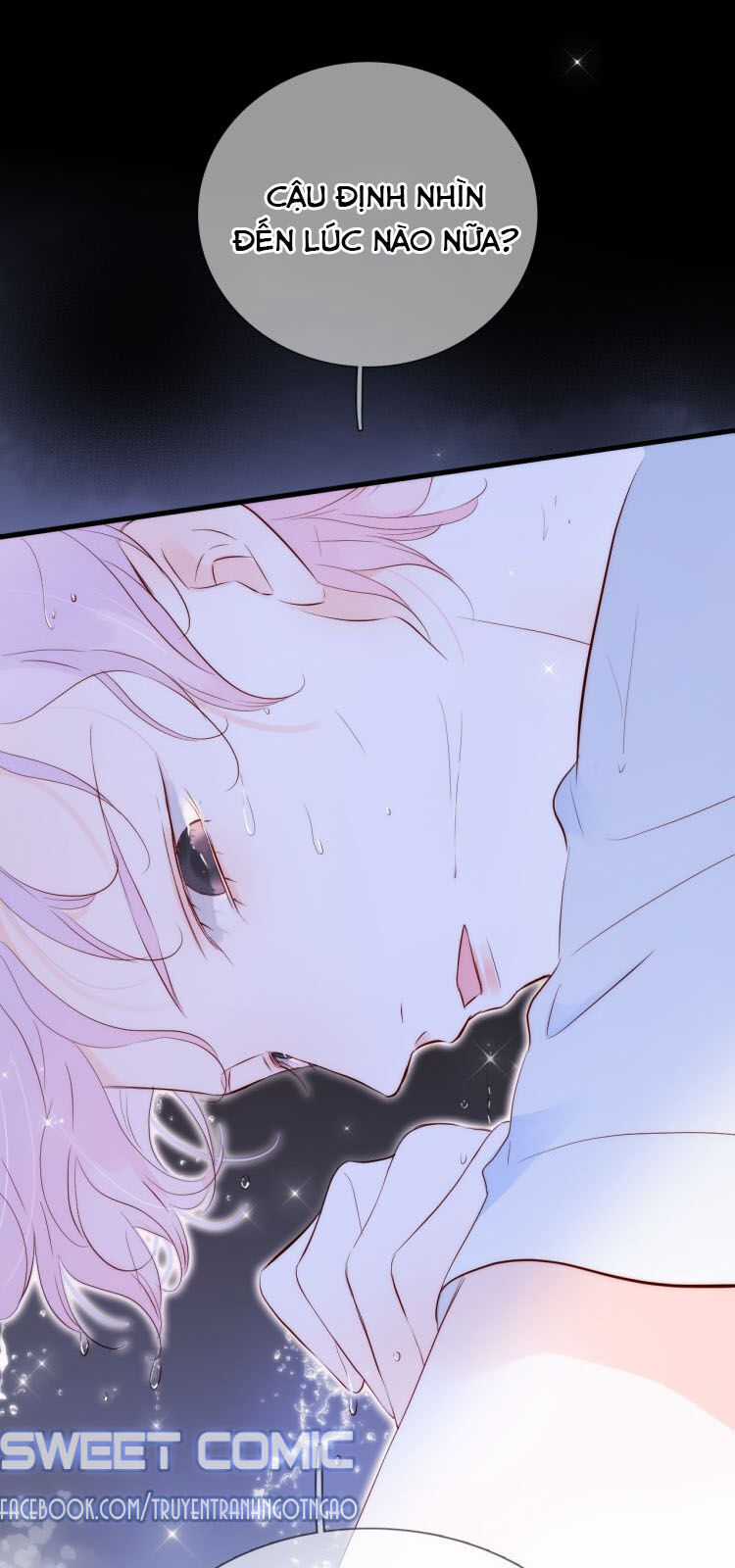 Chạy Trốn Cùng Con Nhím Chapter 4 trang 2