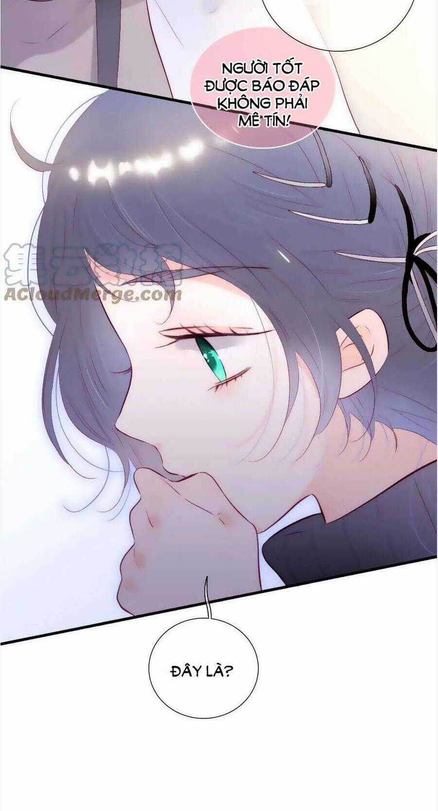 Chạy Trốn Cùng Con Nhím Chapter 89 trang 6