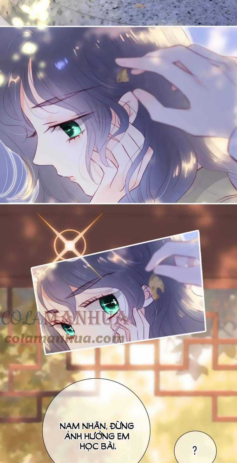 Chạy Trốn Cùng Con Nhím Chapter 92 trang 4