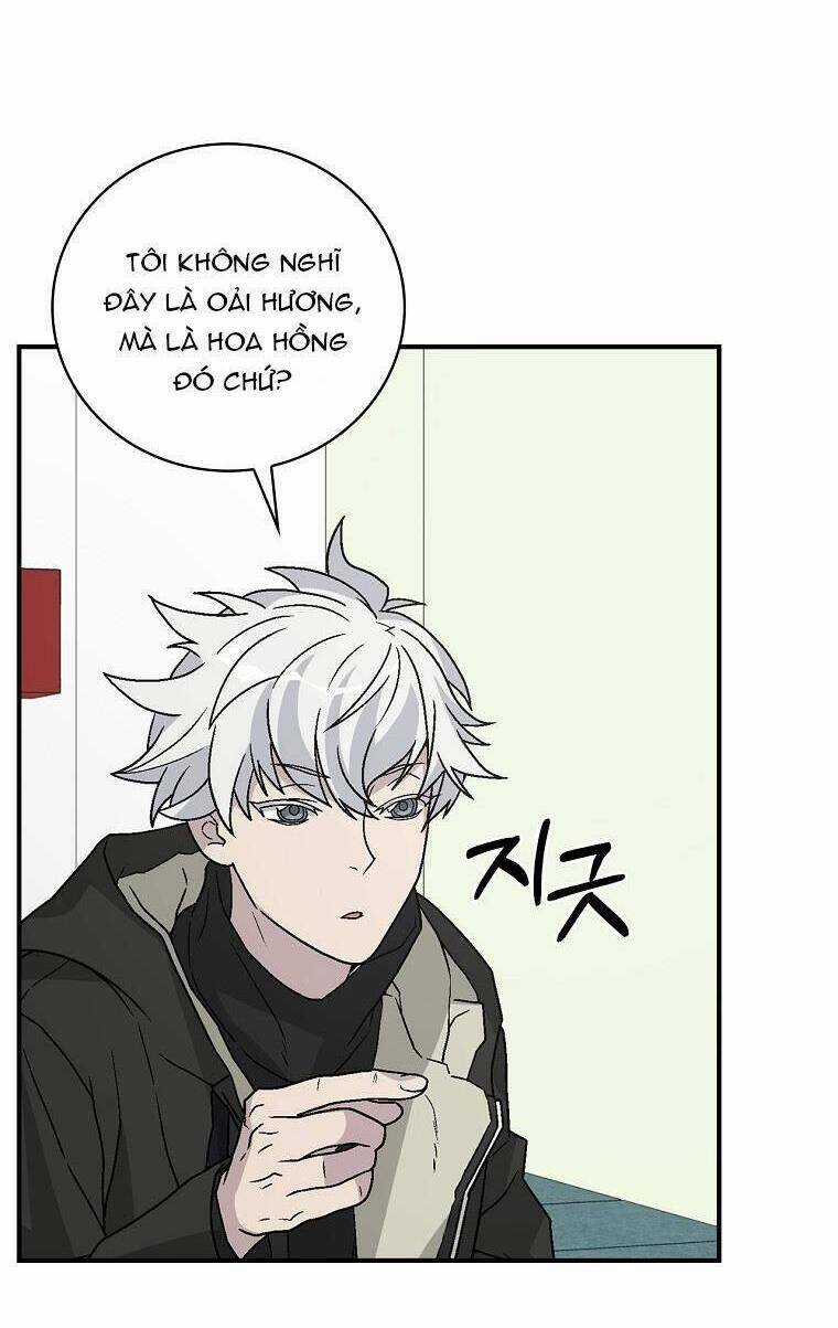 Chemy Chapter 35 trang 40