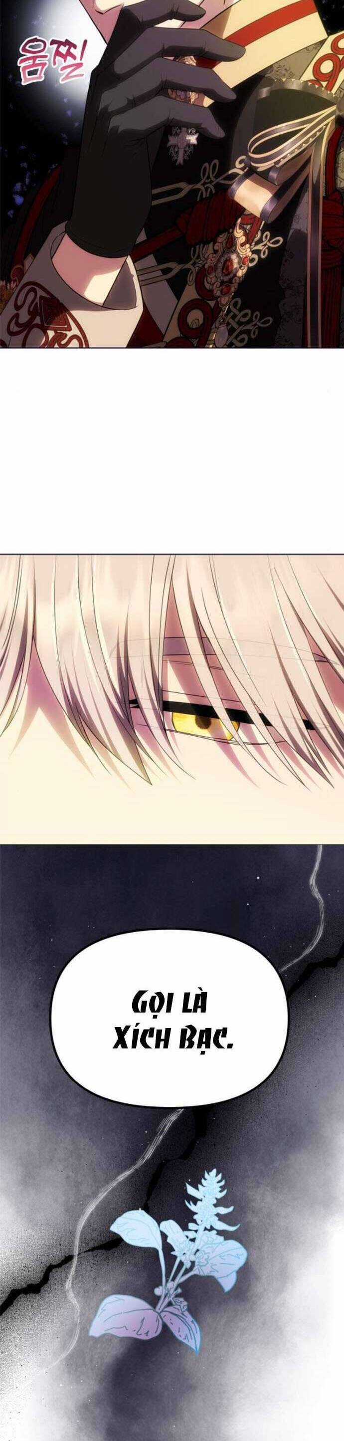 Chỉ Cần Một Người Chồng Là Đủ Chapter 49 trang 33