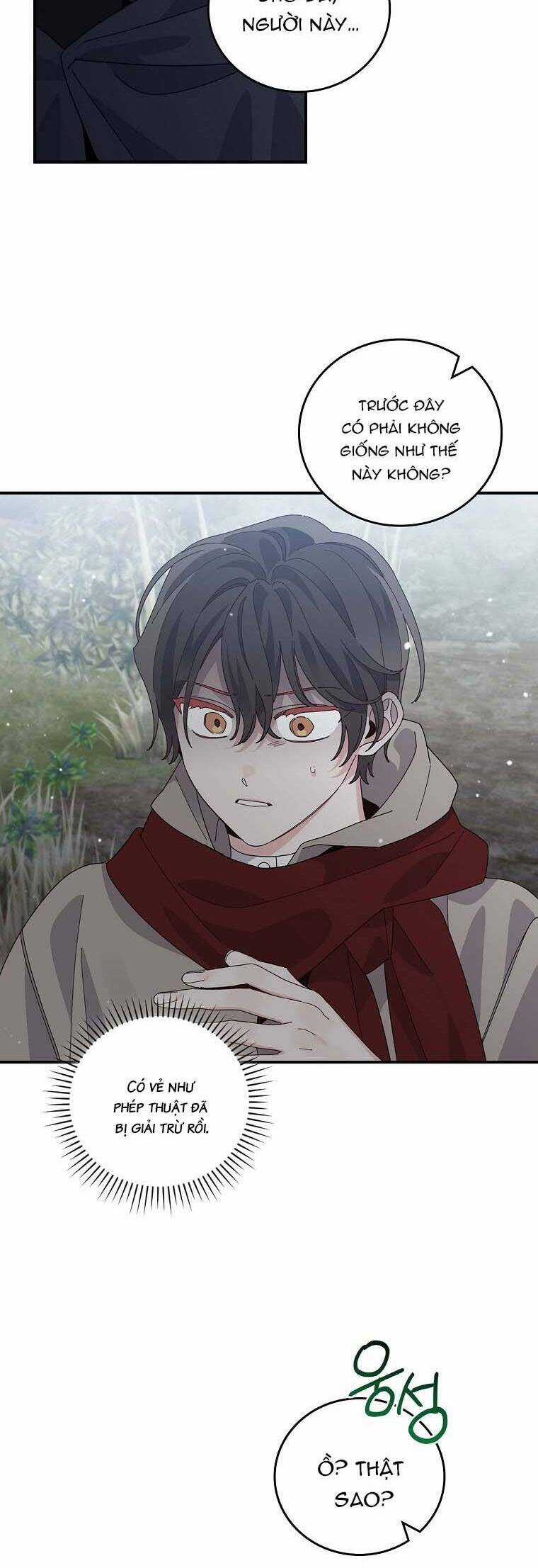 Chị Gái Của Nhân Vật Phản Diện Hôm Nay Đang Đau Khổ Chapter 71 trang 12