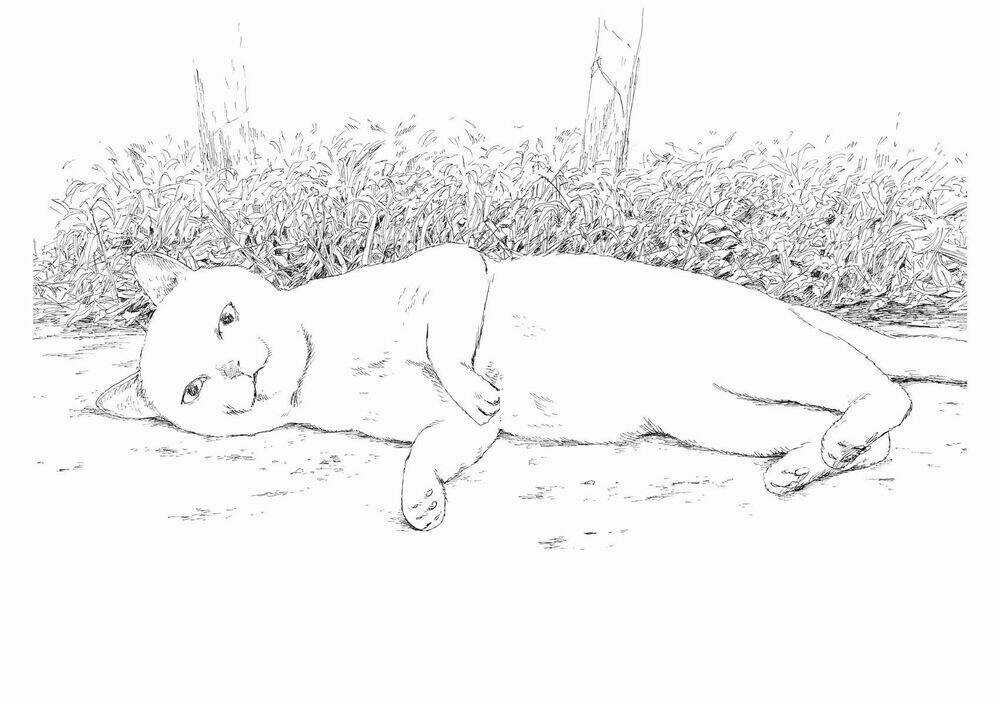 Chi No Wadachi Chapter 95 trang 18