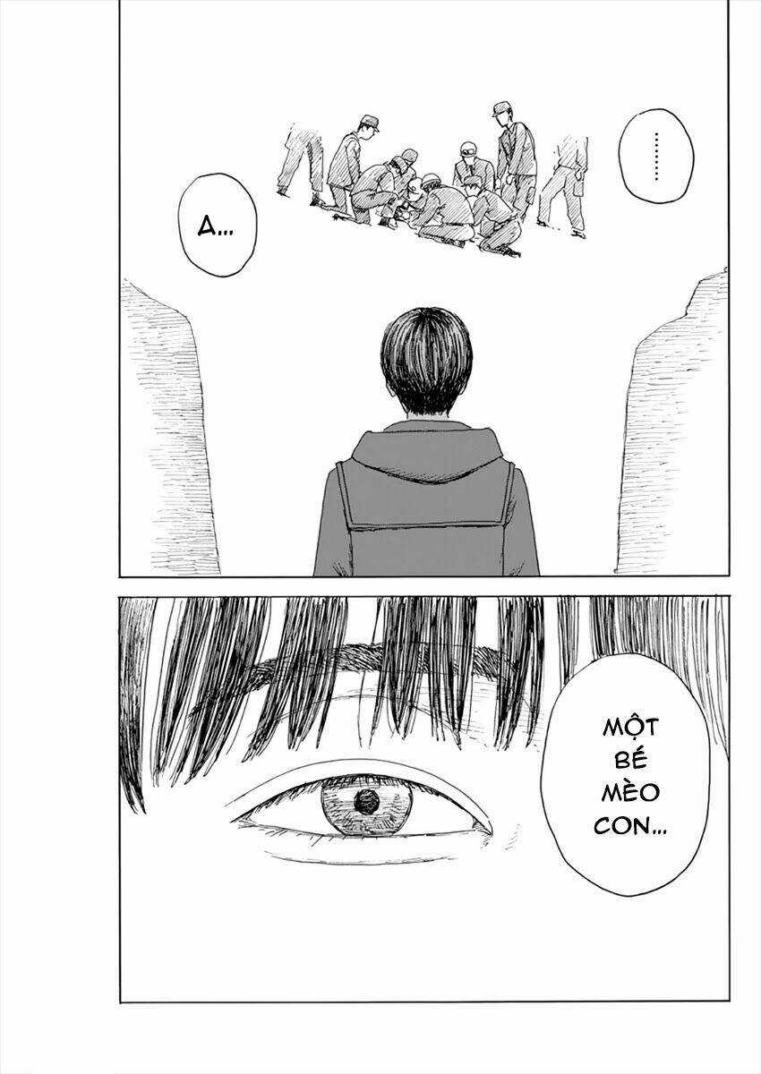 Chi No Wadachi Chapter 95 trang 21