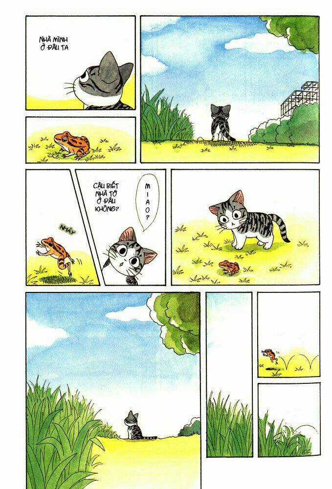 Chi's Sweet Home Chapter 1 trang 5