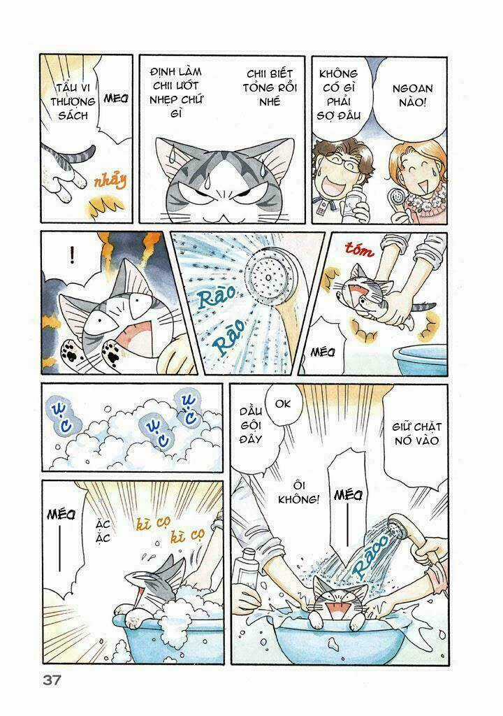 Chi's Sweet Home Chapter 115 trang 2