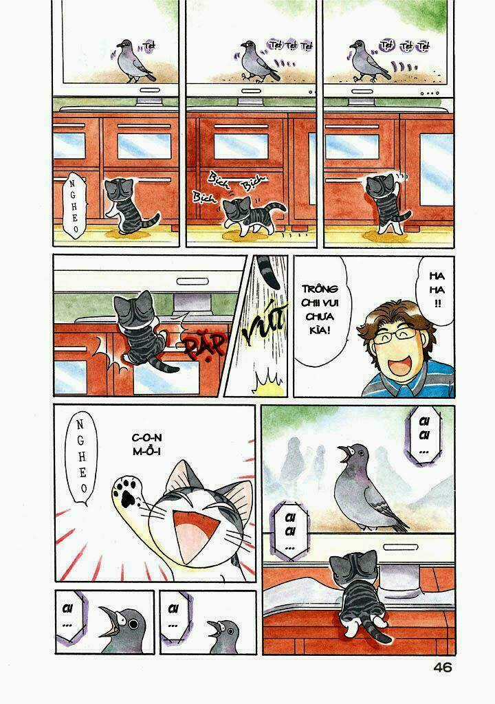 Chi's Sweet Home Chapter 116 trang 3