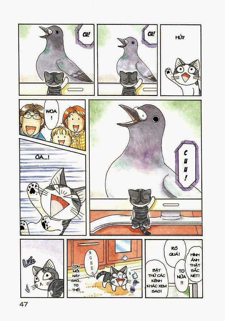 Chi's Sweet Home Chapter 116 trang 4