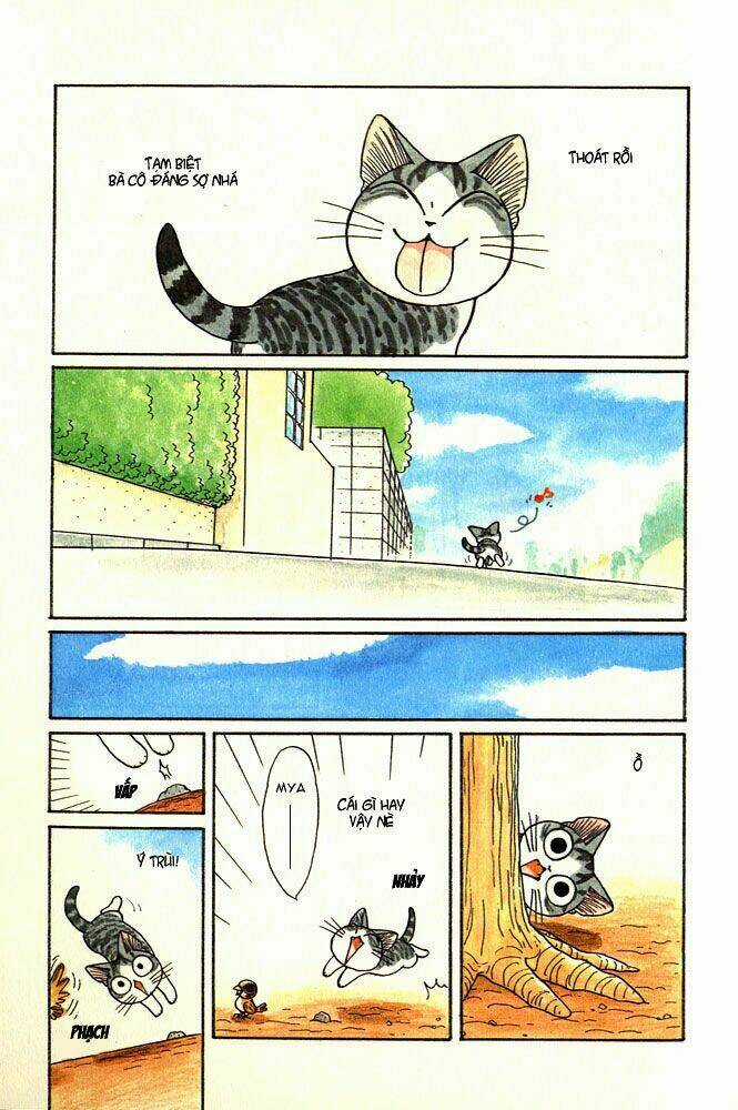 Chi's Sweet Home Chapter 12 trang 2