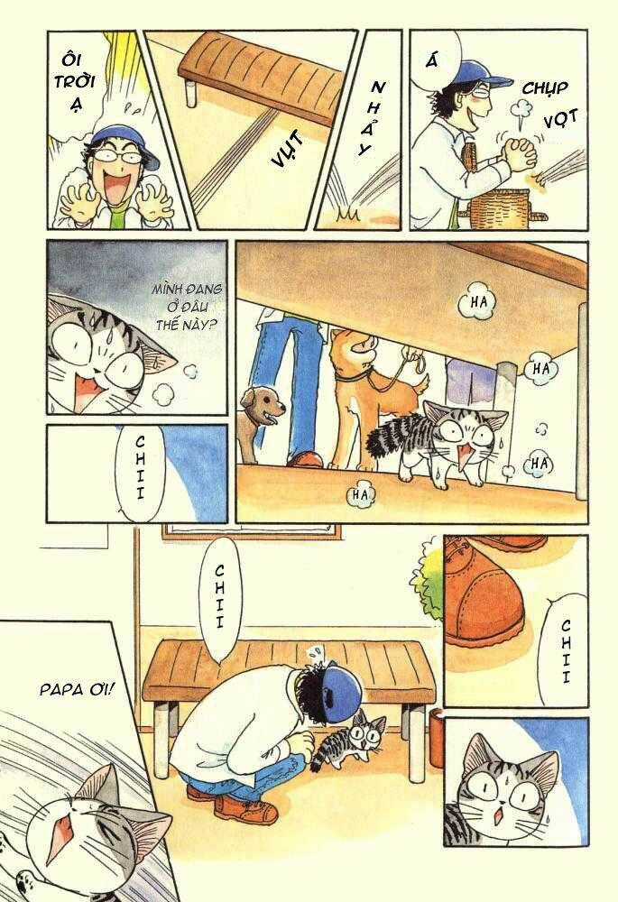 Chi's Sweet Home Chapter 15 trang 2