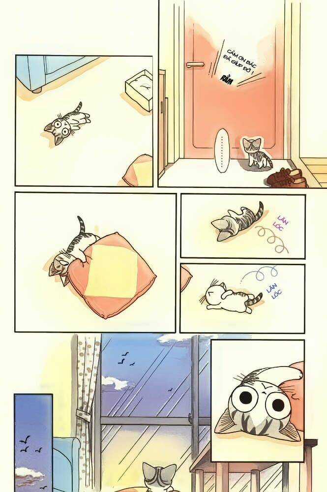 Chi's Sweet Home Chapter 20 trang 5