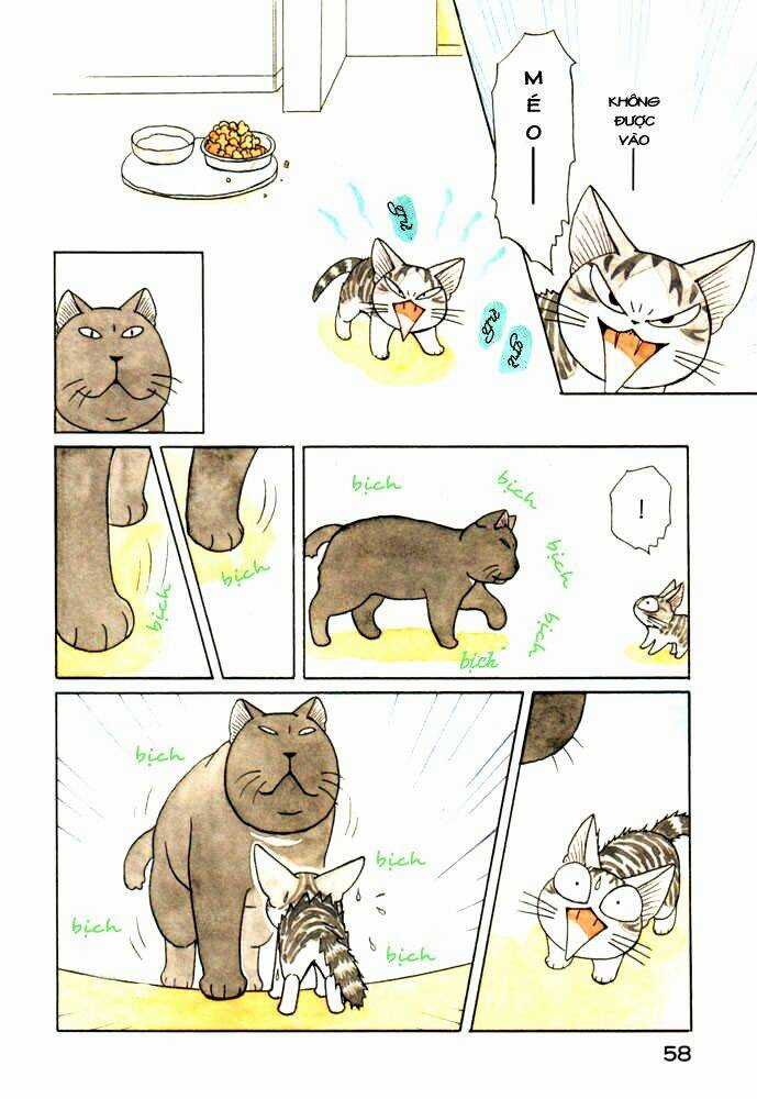 Chi's Sweet Home Chapter 28 trang 3