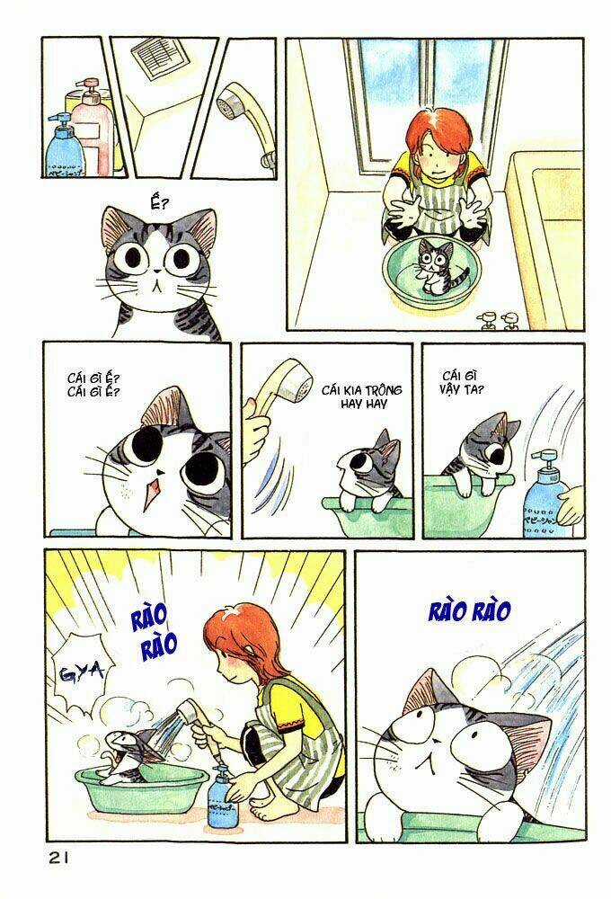Chi's Sweet Home Chapter 3 trang 2