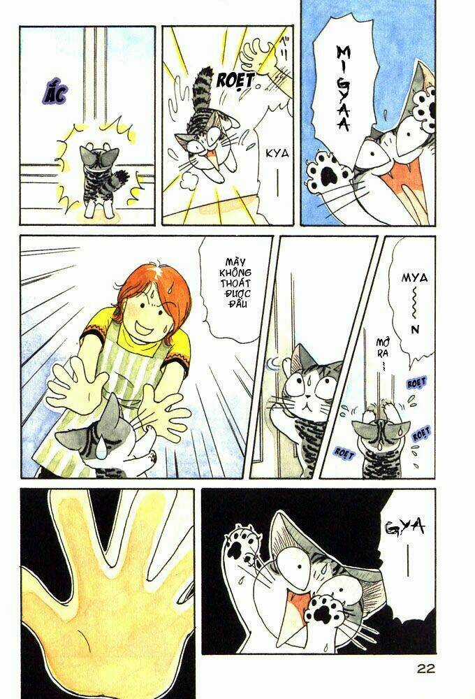 Chi's Sweet Home Chapter 3 trang 3