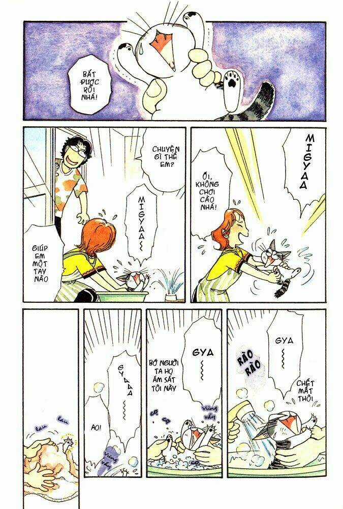 Chi's Sweet Home Chapter 3 trang 4