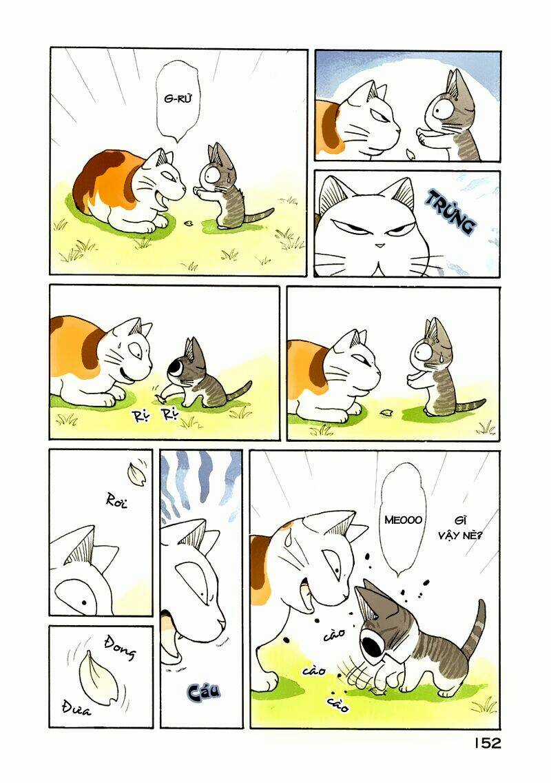 Chi's Sweet Home Chapter 38 trang 14