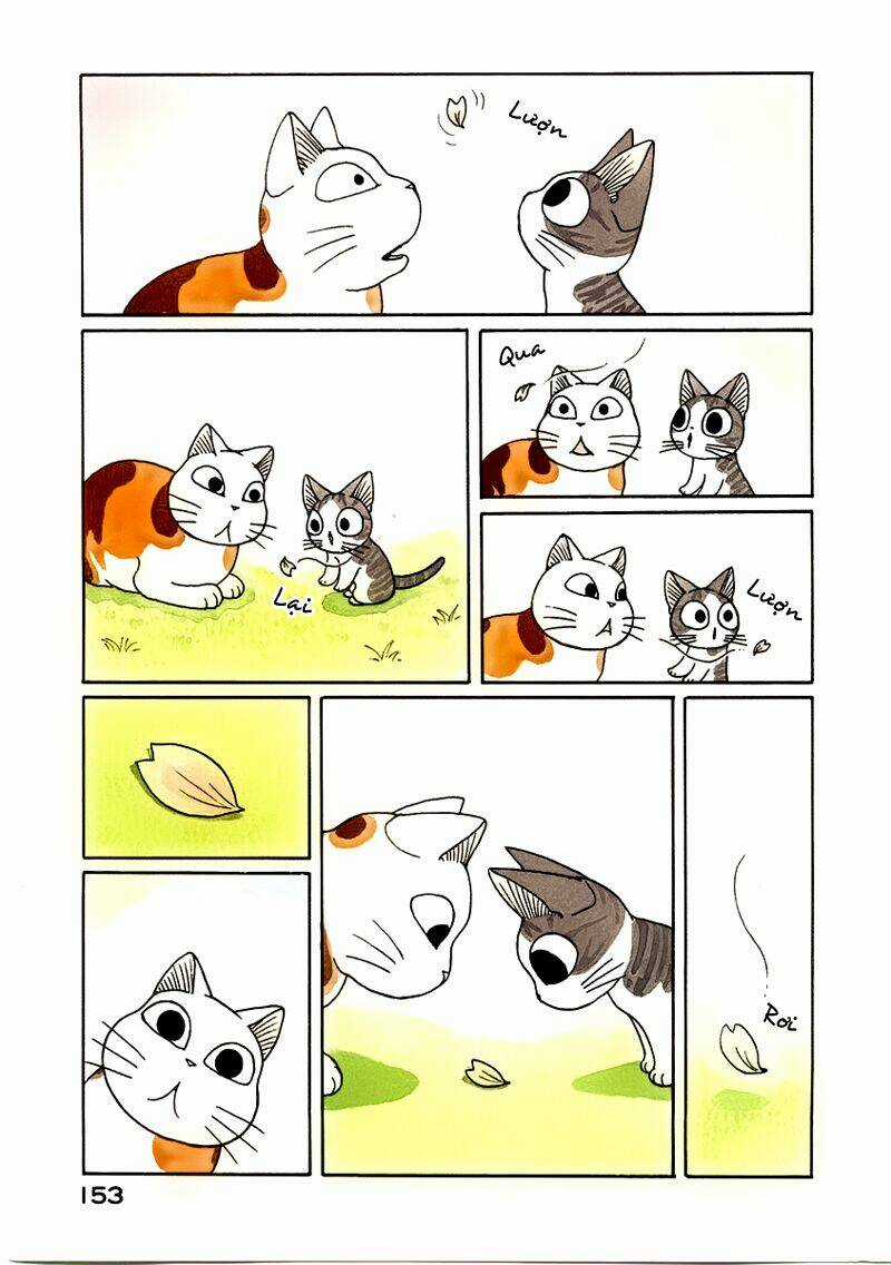 Chi's Sweet Home Chapter 38 trang 15