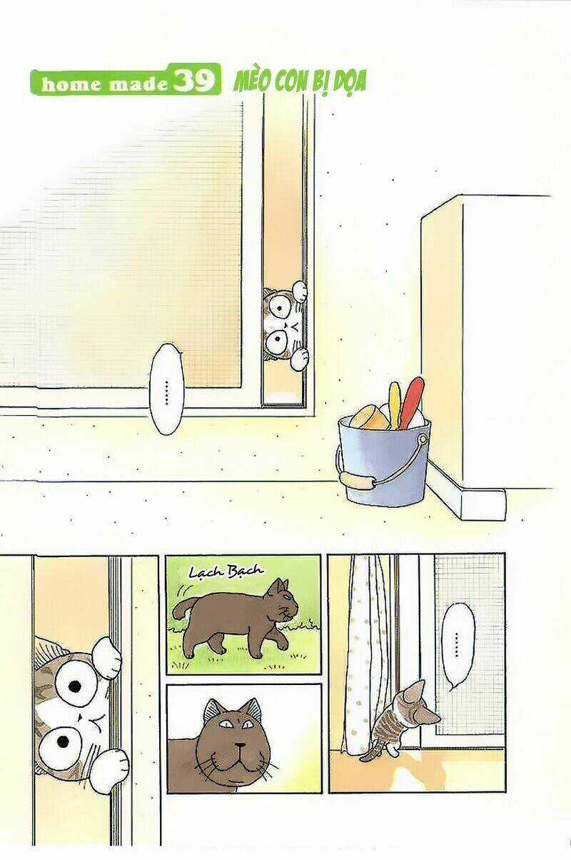 Chi's Sweet Home Chapter 39 trang 7