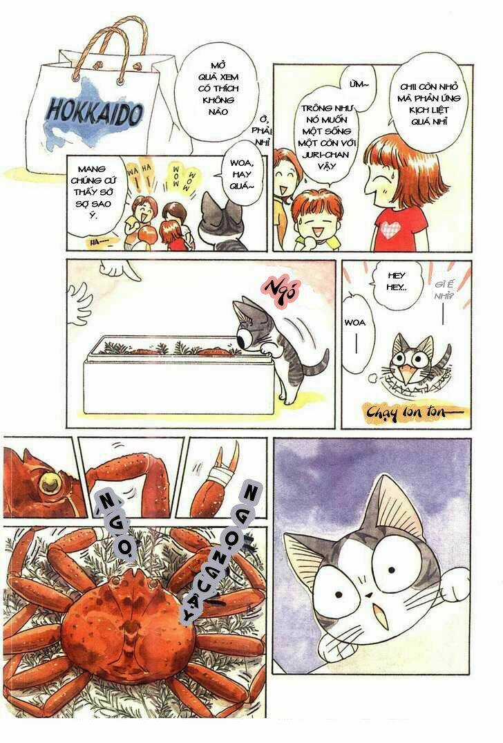 Chi's Sweet Home Chapter 44 trang 7