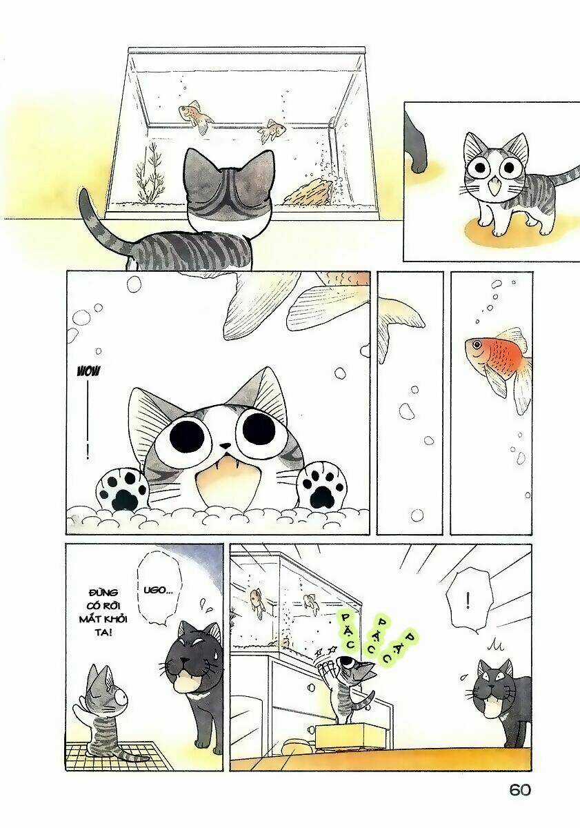 Chi's Sweet Home Chapter 46 trang 4