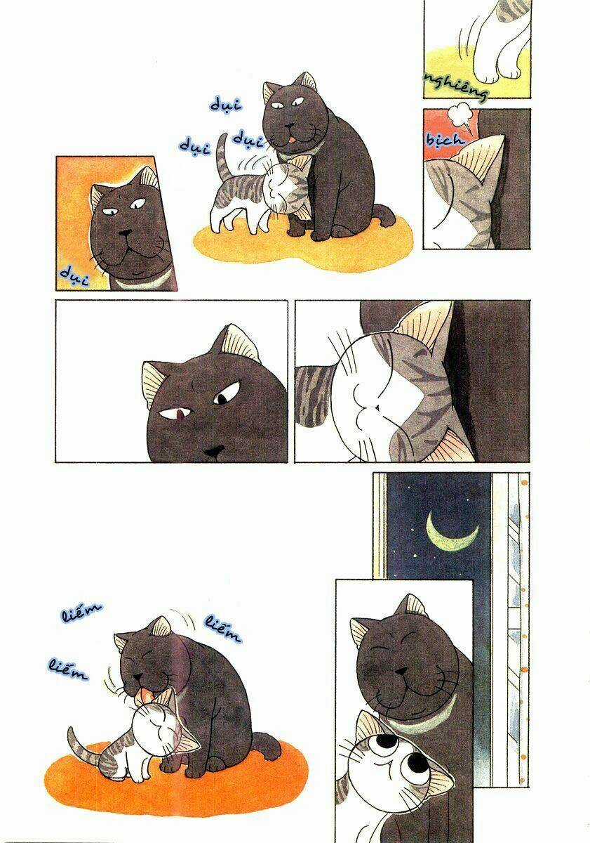 Chi's Sweet Home Chapter 52 trang 5